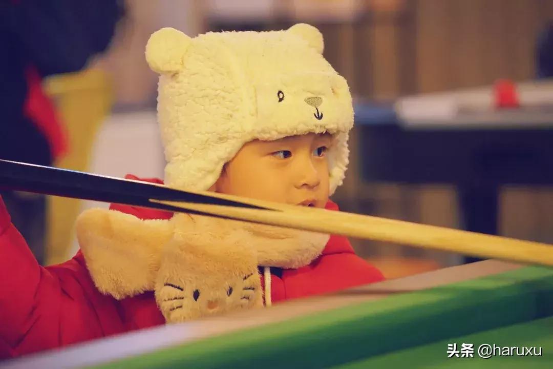 南方也能下雪吗,南方也能见到雪