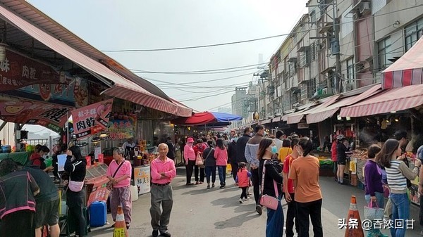 乌鱼子品尝,台湾哪里有乌鱼子吃