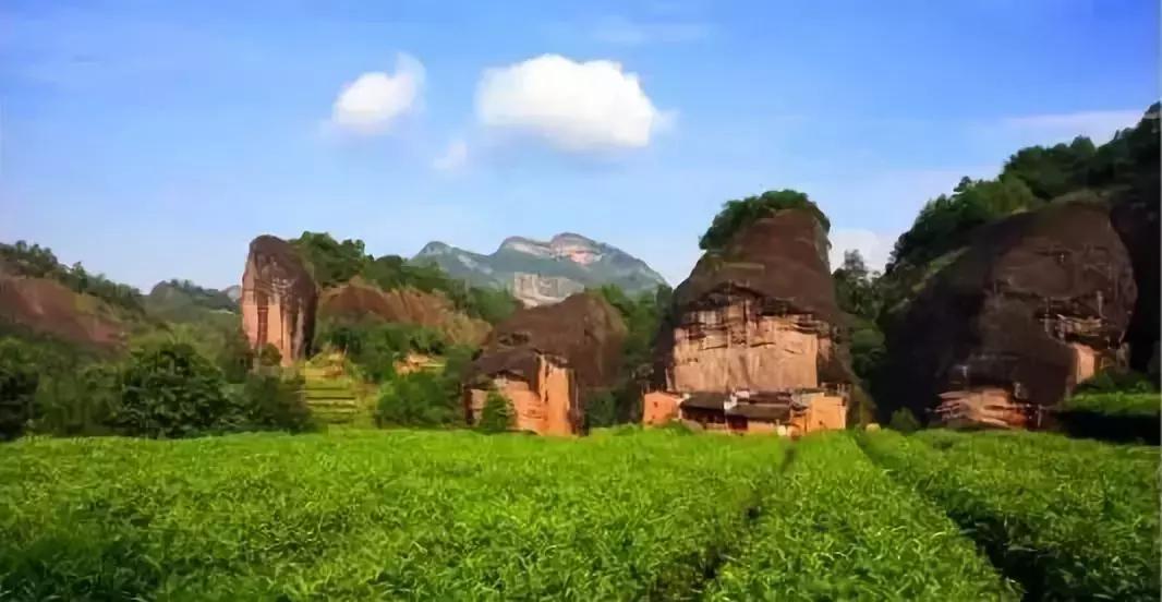 大红袍冬茶好吗怎么喝,喝大红袍茶是春天好还是冬天好