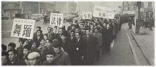 龙猫最久能活多久,龙猫30秒