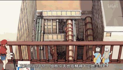 9.2分,半年后这么萌的片终于回来了