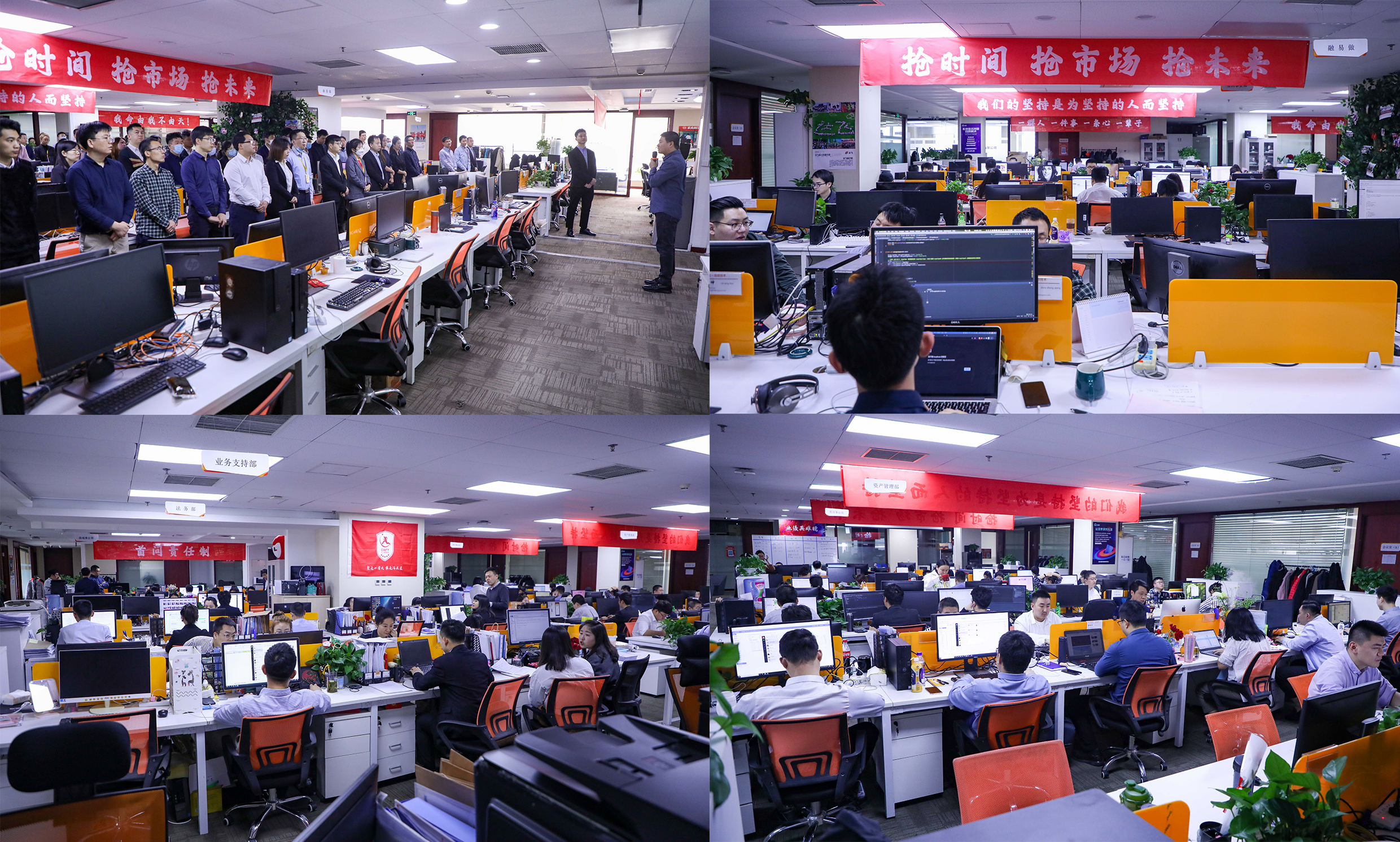 达飞最新公告,达飞平台新消息