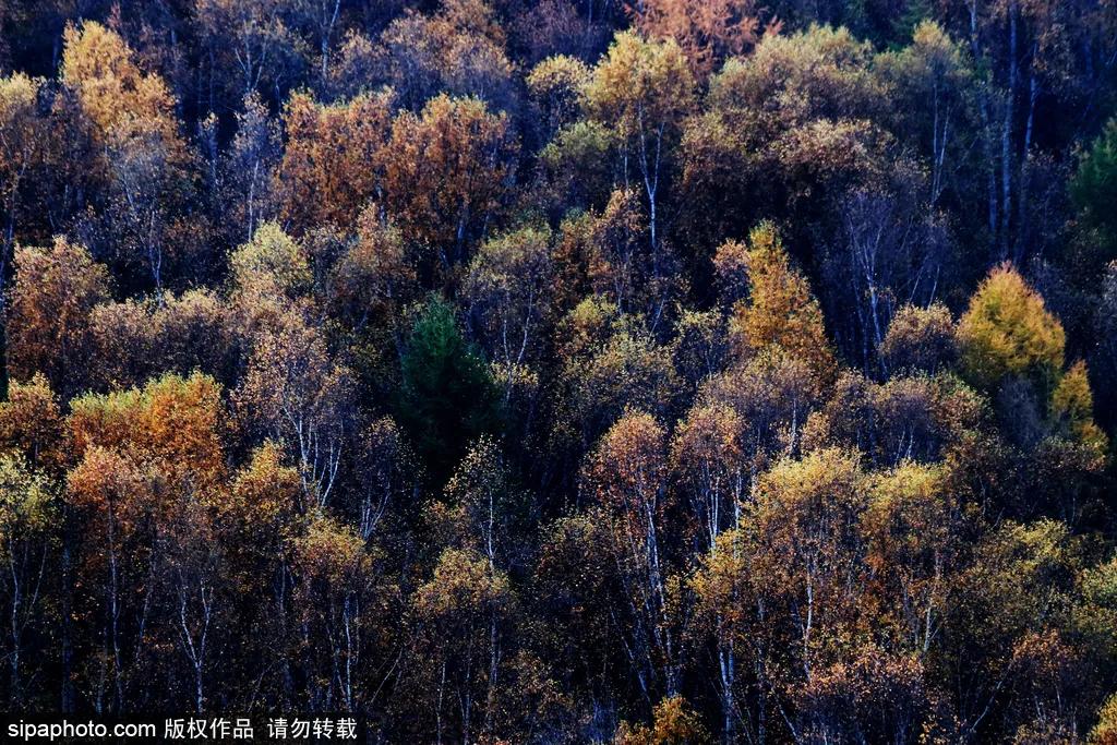 京津冀联合旅游年票99元3张,100万旅游惠民券免费领取