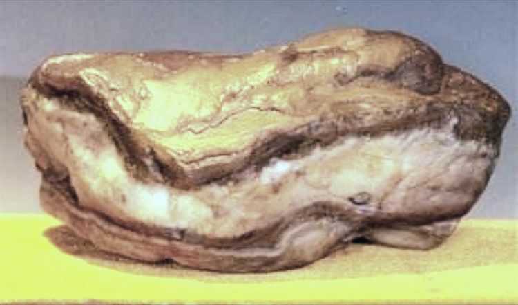 黄顺发紫砂,黄顺发字画