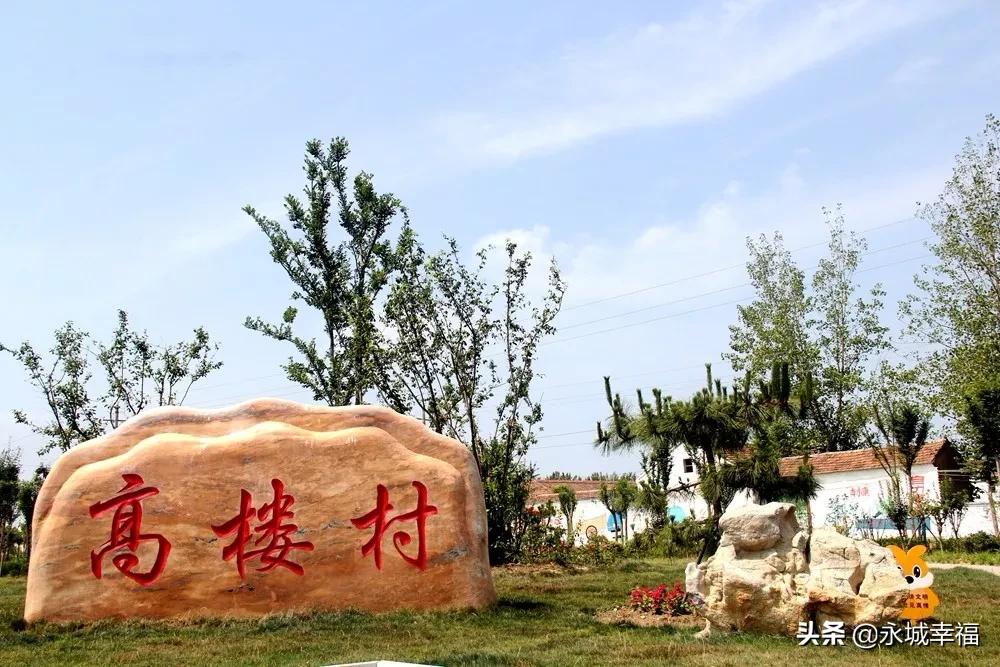 永城苗桥镇，以产业发展实绩体现主题教育实效