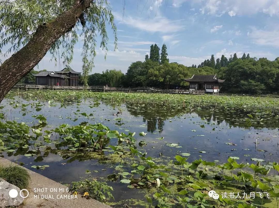 杭州嘉绿苑中学录取率,杭州嘉绿苑中学招生