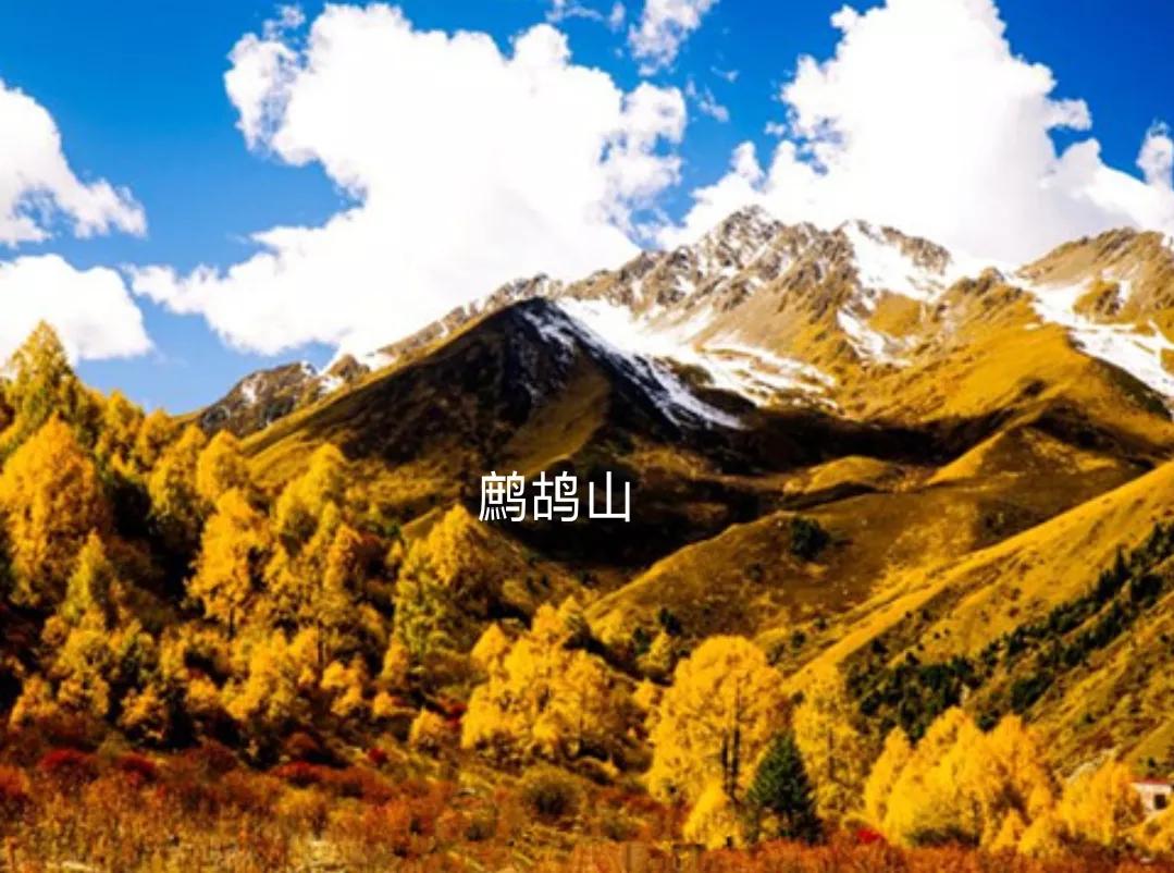 四川阿坝州阿坝县的景点,阿坝县藏着中国绝色风光