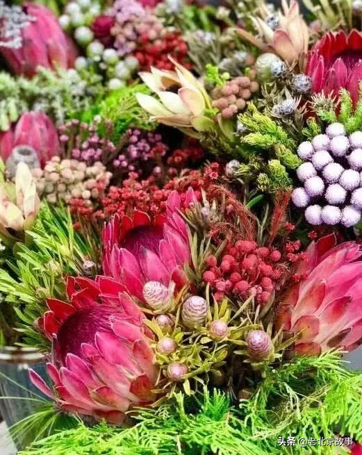 官园拆迁安置房,官园拆迁安置房拿房时间