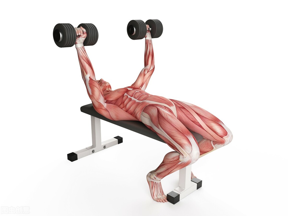 卧推手肘韧带疼是怎么回事,卧推胳膊与肩膀连接处疼怎么办