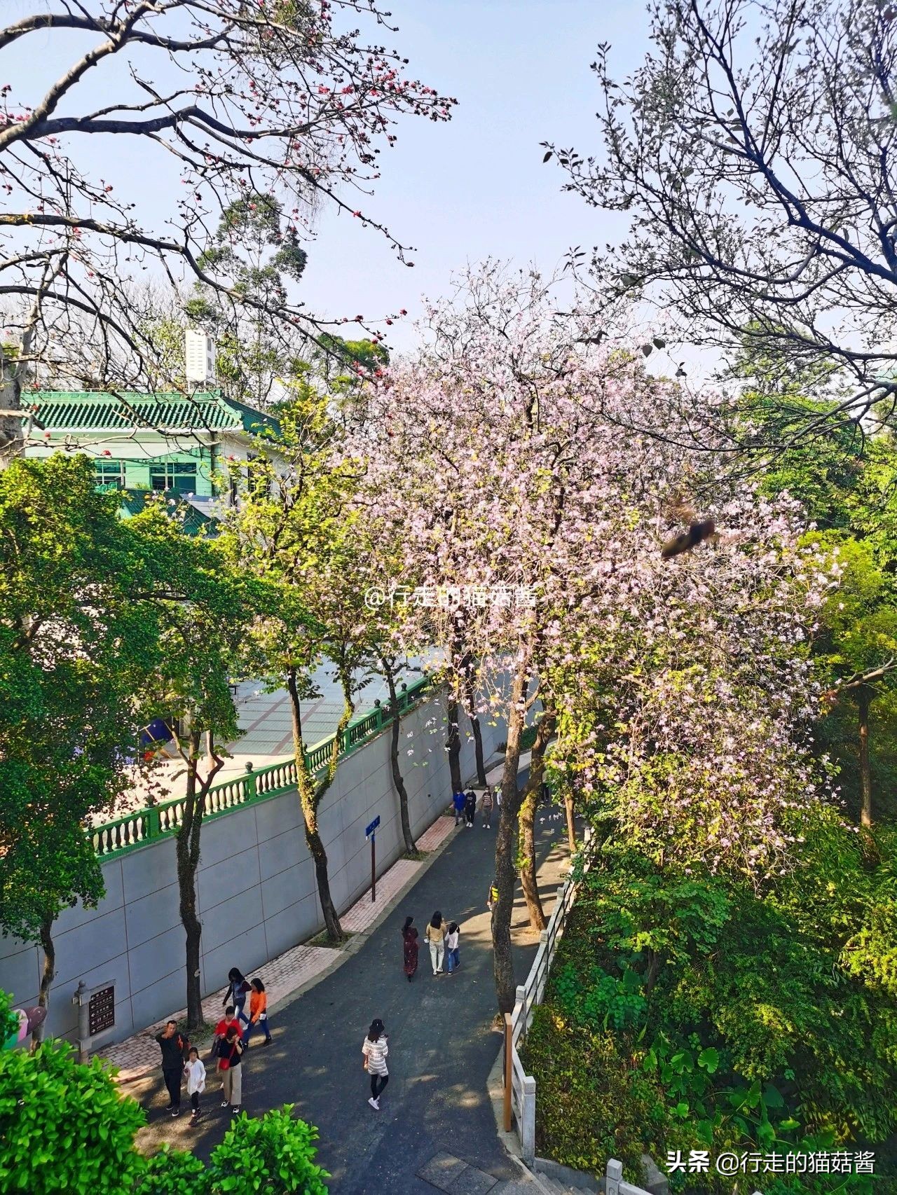 从广州越秀公园出发的游览路线,越秀公园五羊雕像游览路线