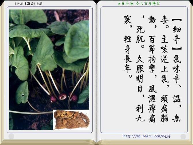 本草纲目中药讲解视频,本草纲目中药图谱及药理讲解