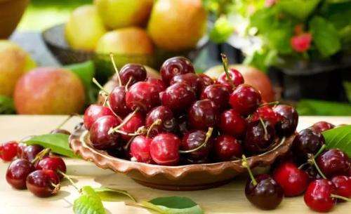 太阳能杀虫灯可以防治樱桃果蝇,大樱桃果蝇难防治掌握方法才奏效