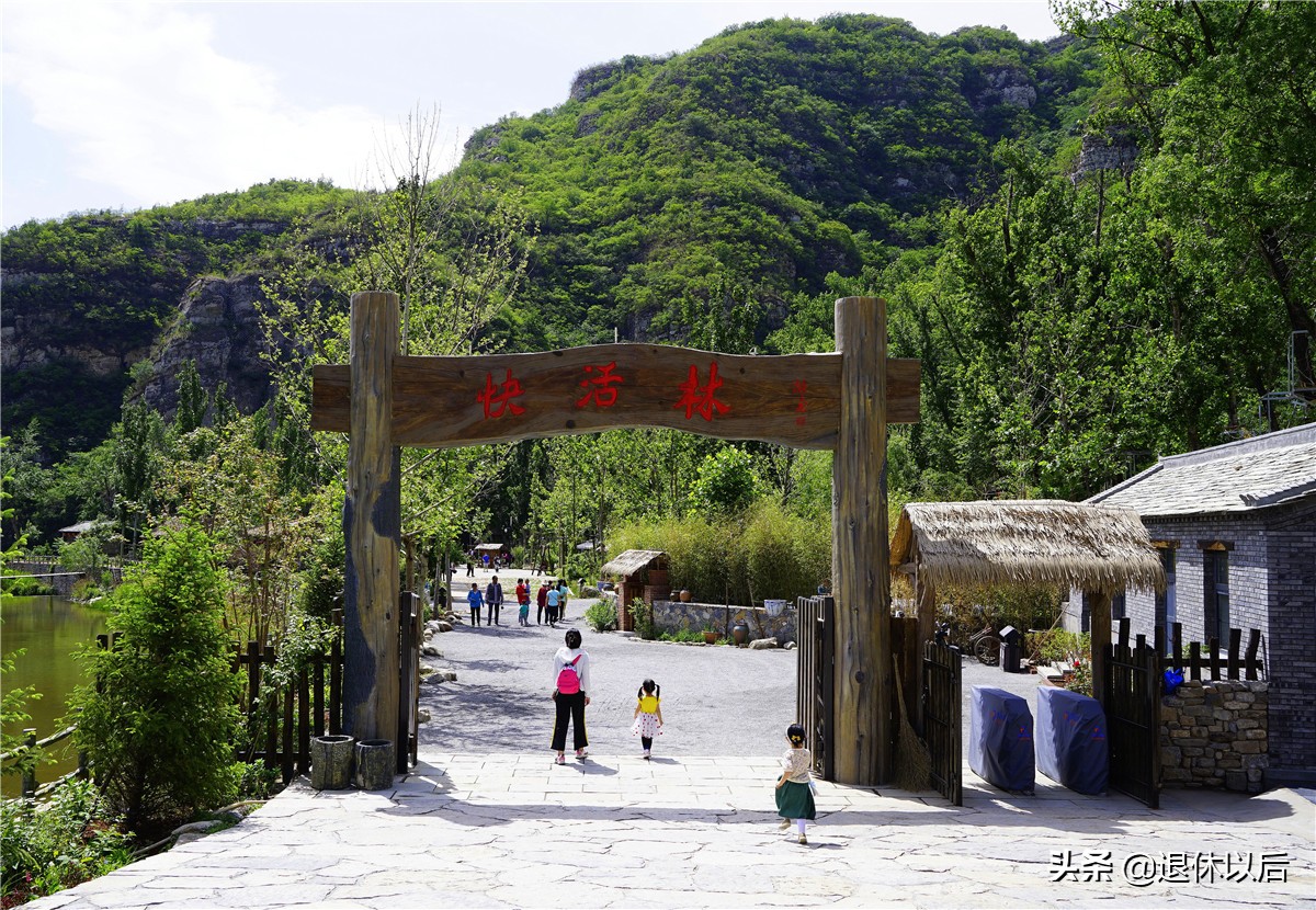 森林中的童话树屋,原始森林里的童话世界