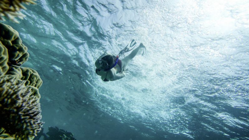 马尔代夫鲁滨逊岛RobinsonClubMaldives旅游攻略