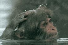 空中一字马搞笑图,一个突如其来的一字马