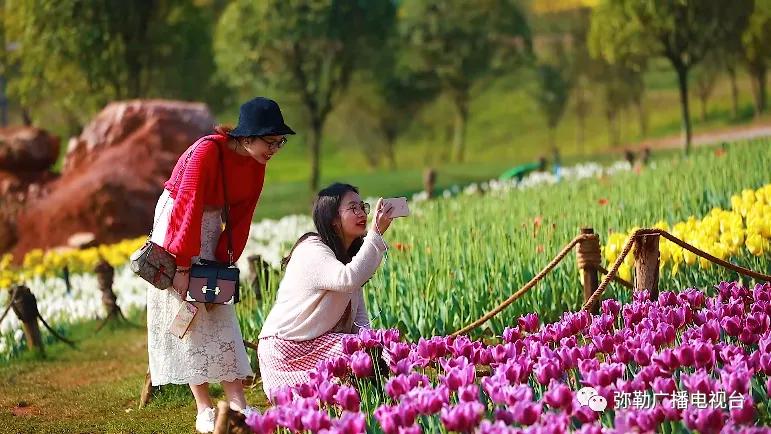 弥勒市为何发展这么快,弥勒怎么了