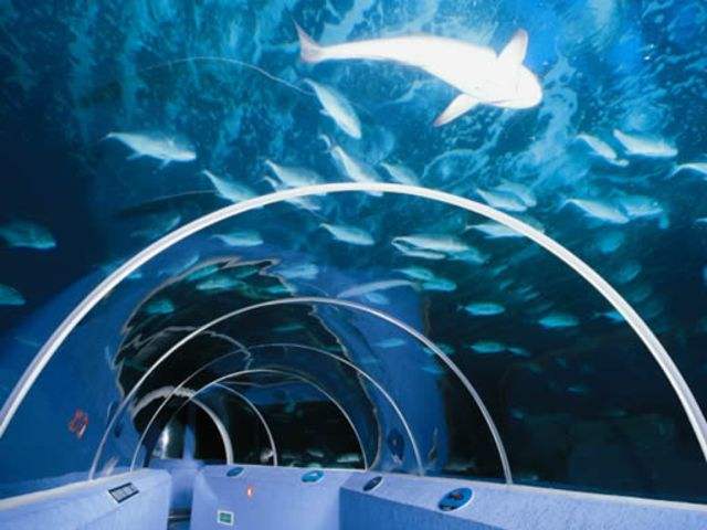 青岛海边景点路线推荐,青岛最美沿海公路怎么自驾