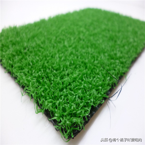 武汉围挡草坪批发,武汉围挡草皮厂家直销