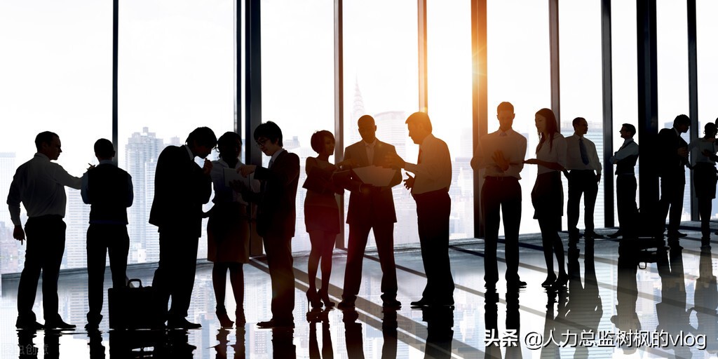 pdp职业性格特征测试,pdp性格测试各种类型适合什么企业