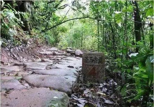 重走茶马古道感受马帮岁月,茶马古道之马帮篇