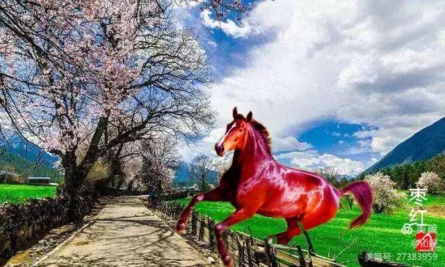 弼马温养马的官,弼马温在哪里看管天马