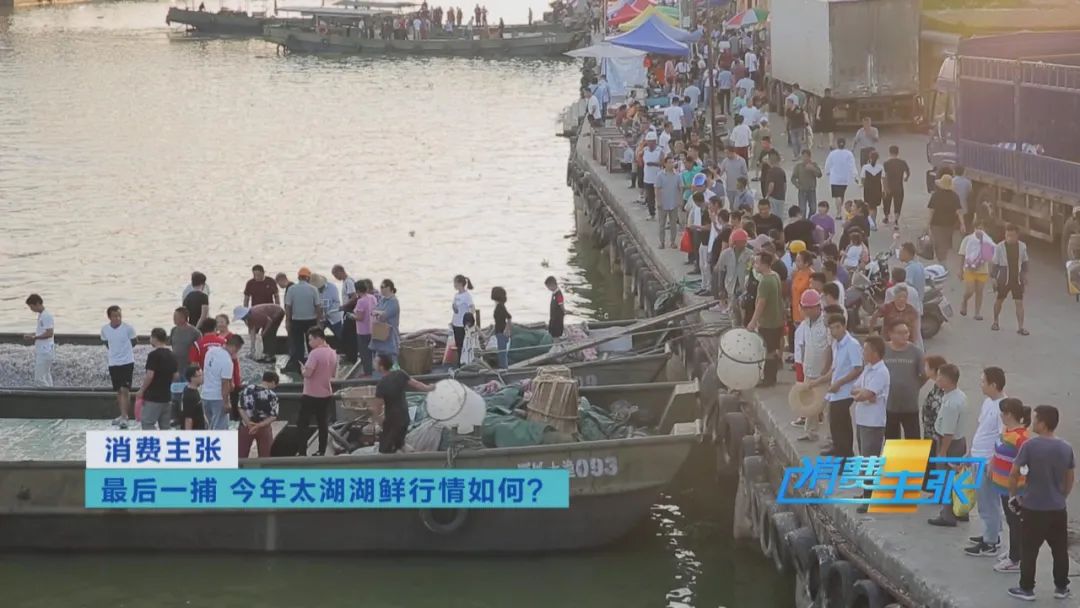 直击太湖开湖现场！鲜美湖鲜大量上市，资深吃货准备好了吗？