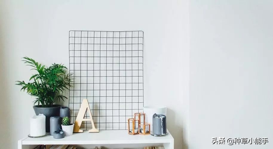 全球购买到的sk2神仙水,卖几千块的神仙水