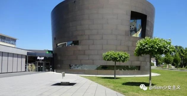 世界上最美丽的泰迪熊,最可爱的泰迪熊