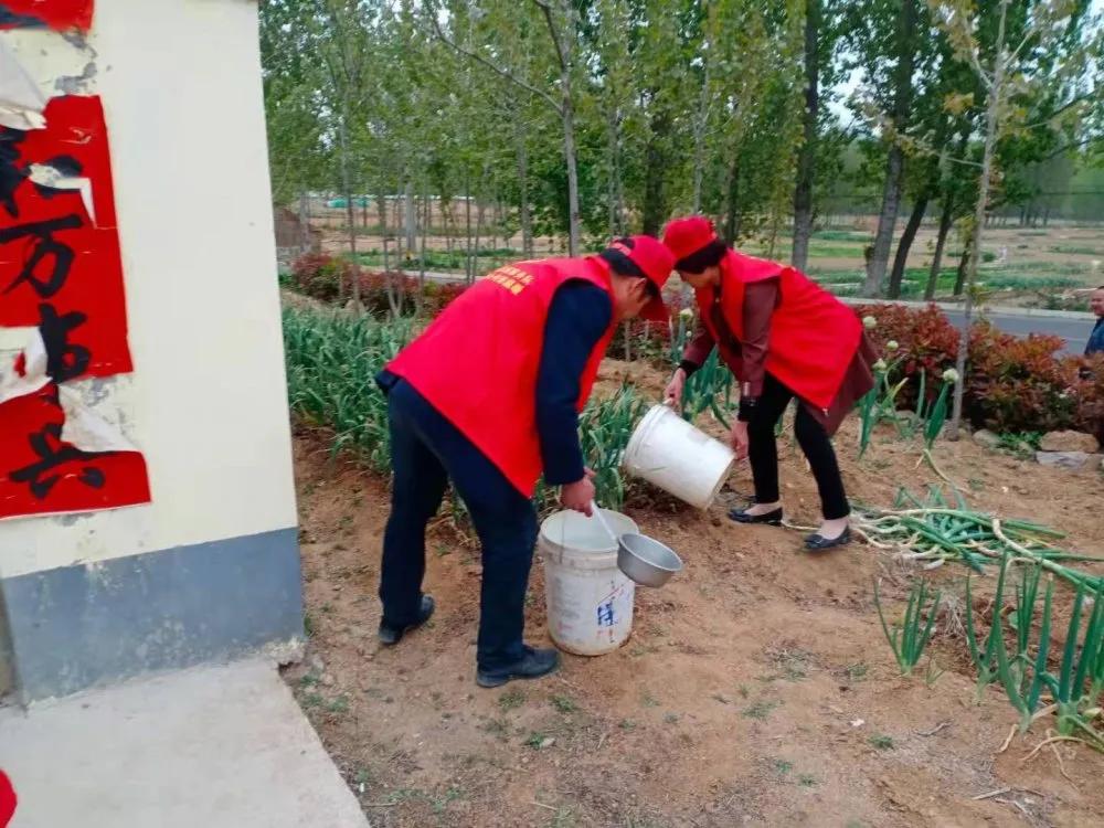 4月党员志愿服务活动,4月份党员开展志愿服务活动内容