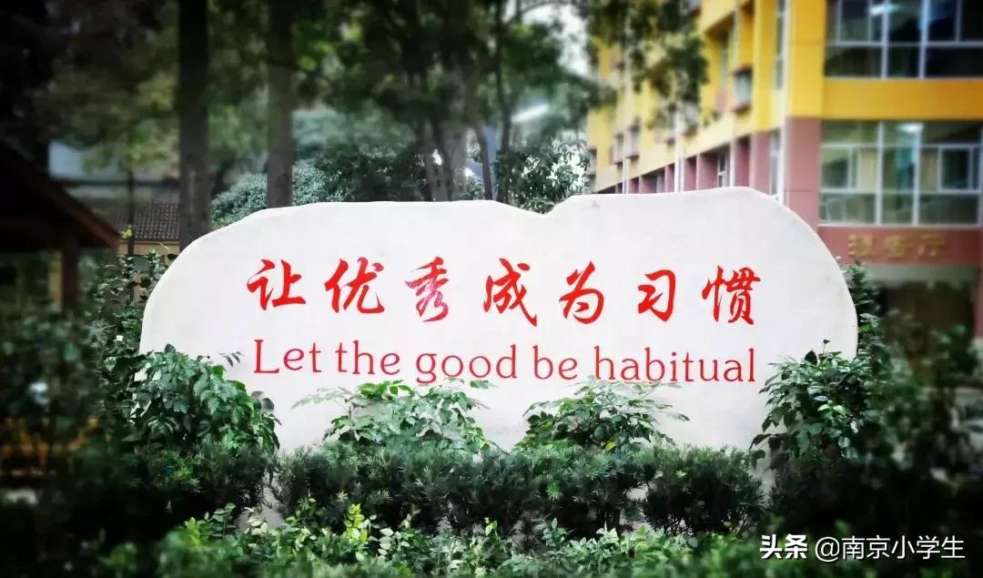 2020小升初玄外录取排名,小升初能同时摇中南外和玄外吗