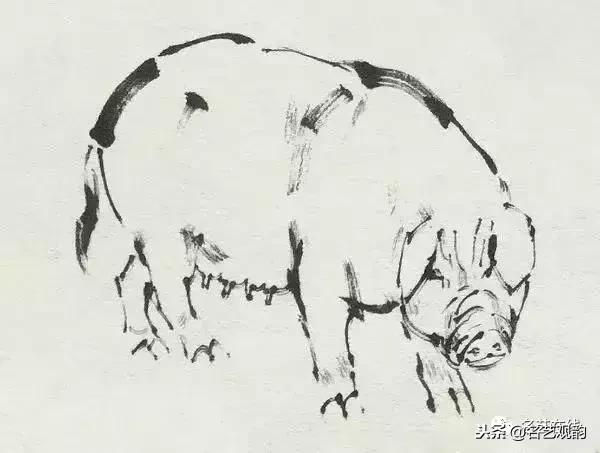 小朋友画猪简单又好看,猪年画猪中国画