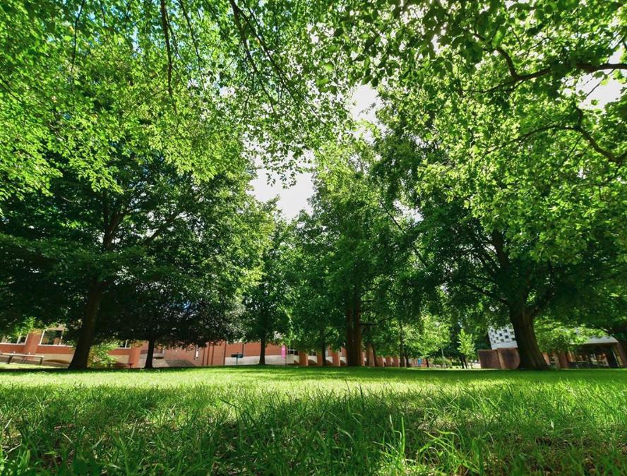 instagram最受欢迎标签,instagram最受欢迎的十大网红