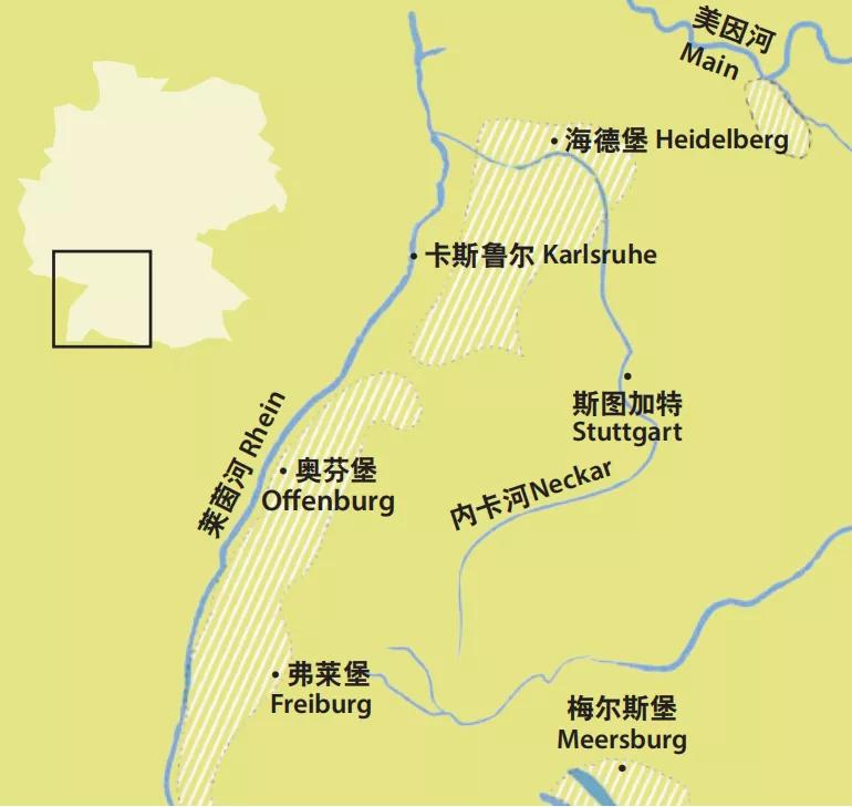 德国黑皮诺酒怎么样,黑皮诺是什么酒