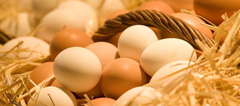 六个月宝宝吃蛋黄过敏了怎么办,宝宝对蛋黄过敏可以喝什么奶粉