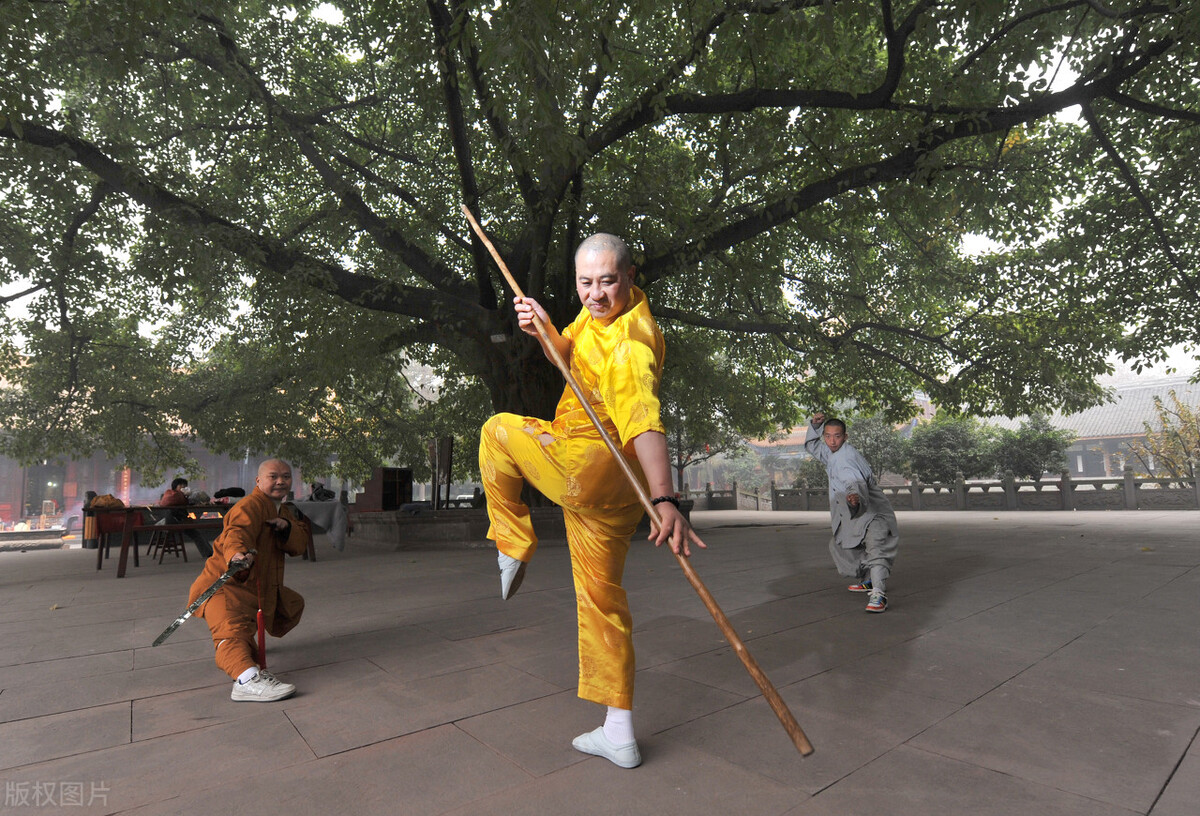 悟空梦蝶无底洞大战玉面花花妖鼠