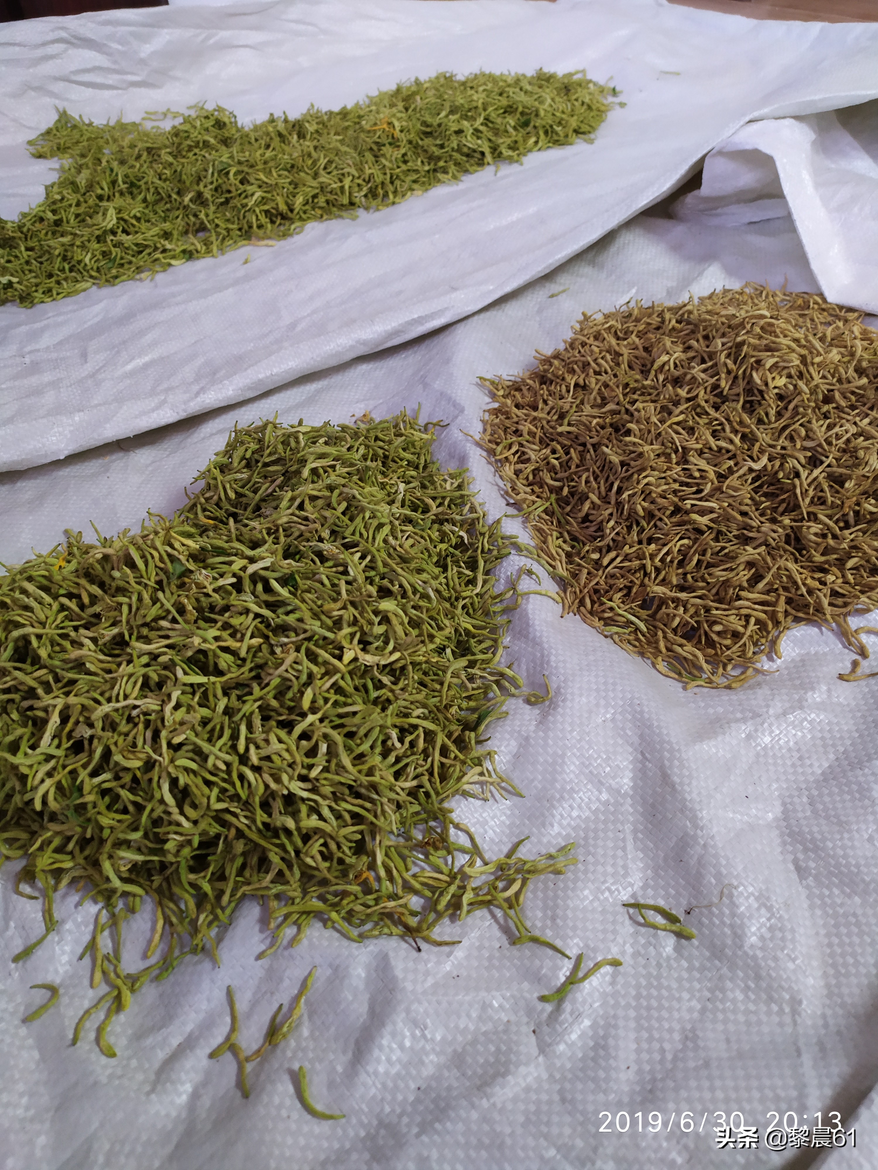 金银花怎么加工才能保住质量,自制金银花全过程