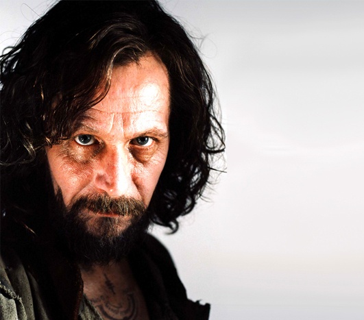 哈利波特十大最受喜爱人物,哈利波特中最受欢迎的10个人物