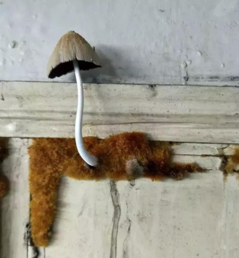 最好学校宿舍vs最差学校宿舍,中国大学十大最差宿舍