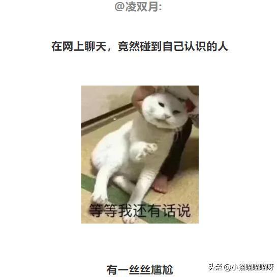 网恋居然网恋到兄弟的妈妈,没想到网恋对象竟是自己亲妈