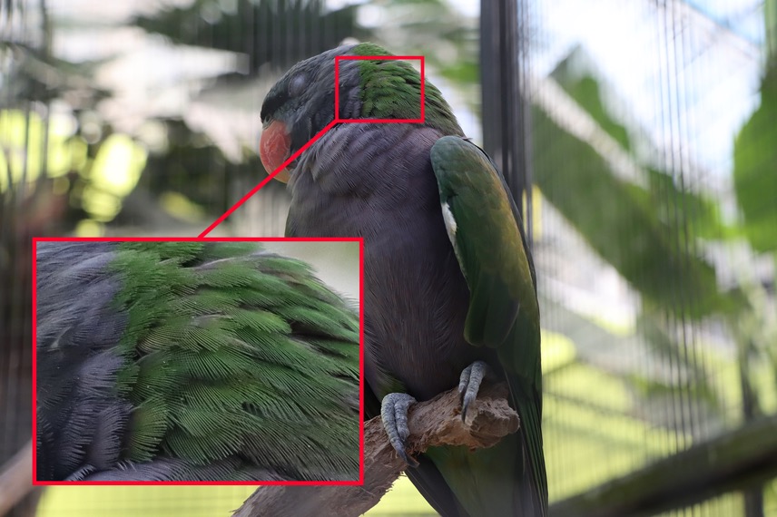 3250万像素仅售7649元，佳能新出的90D单反究竟有多香？