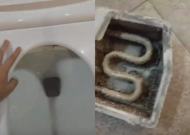 智能马桶盖有多脏,智能马桶盖真的不耐用