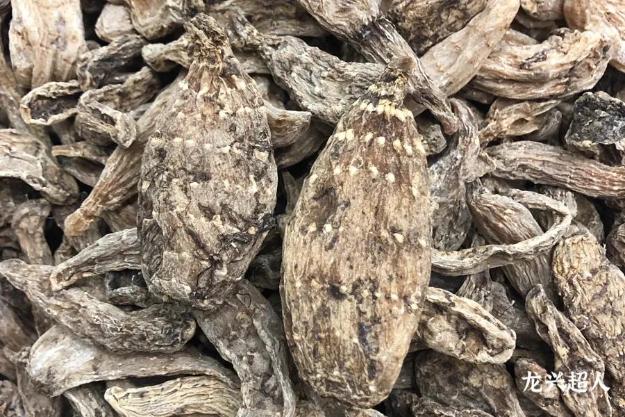安徽道地药材天麻,天麻的道地药材