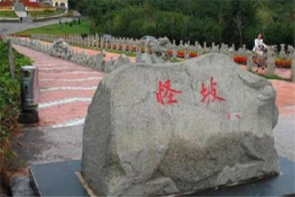 沈阳国家森林动物园游玩攻略,沈阳森林动物园游玩