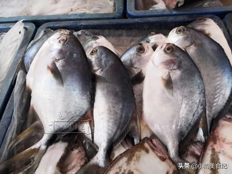 哪些食用鱼好吃又好养殖,什么食用鱼比较好养又有价值