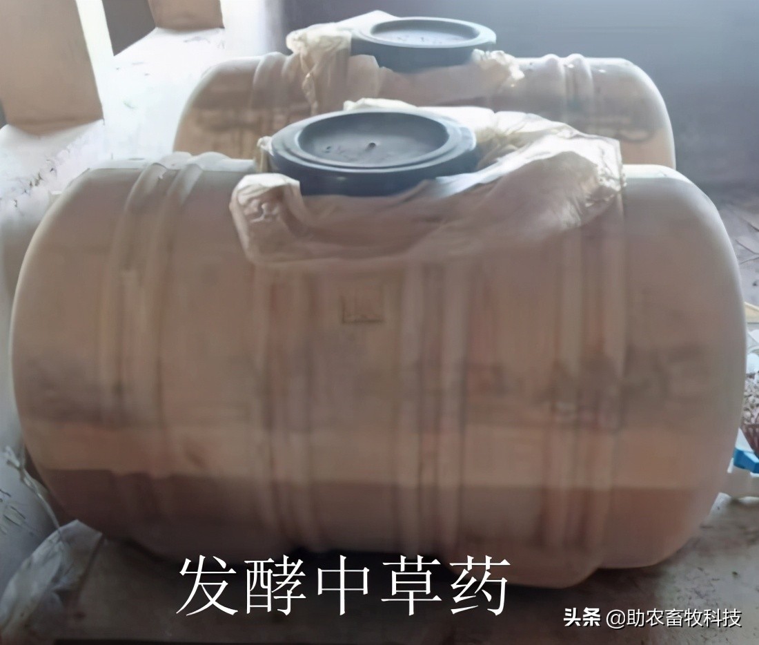 猪场感染非瘟要多久才能重新养猪,非瘟弱阳性猪场可以复养