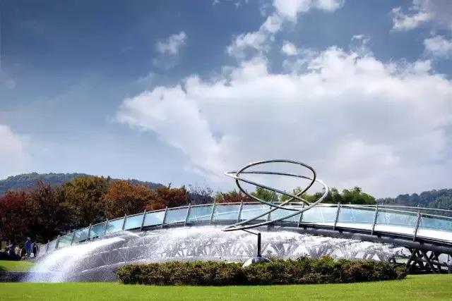 新晋网红打卡地池杉林,小红书网红打卡点