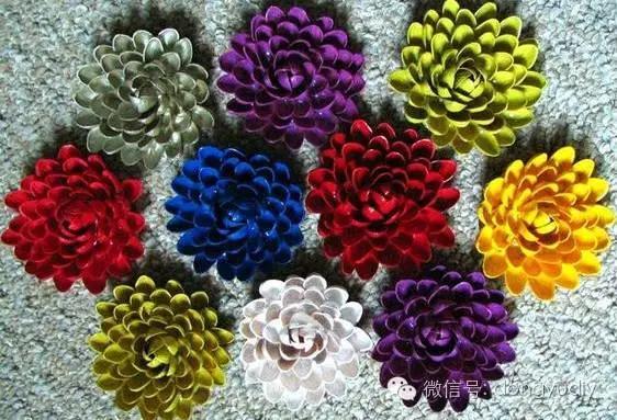 坚果壳艺术品,坚果壳能拿来做什么