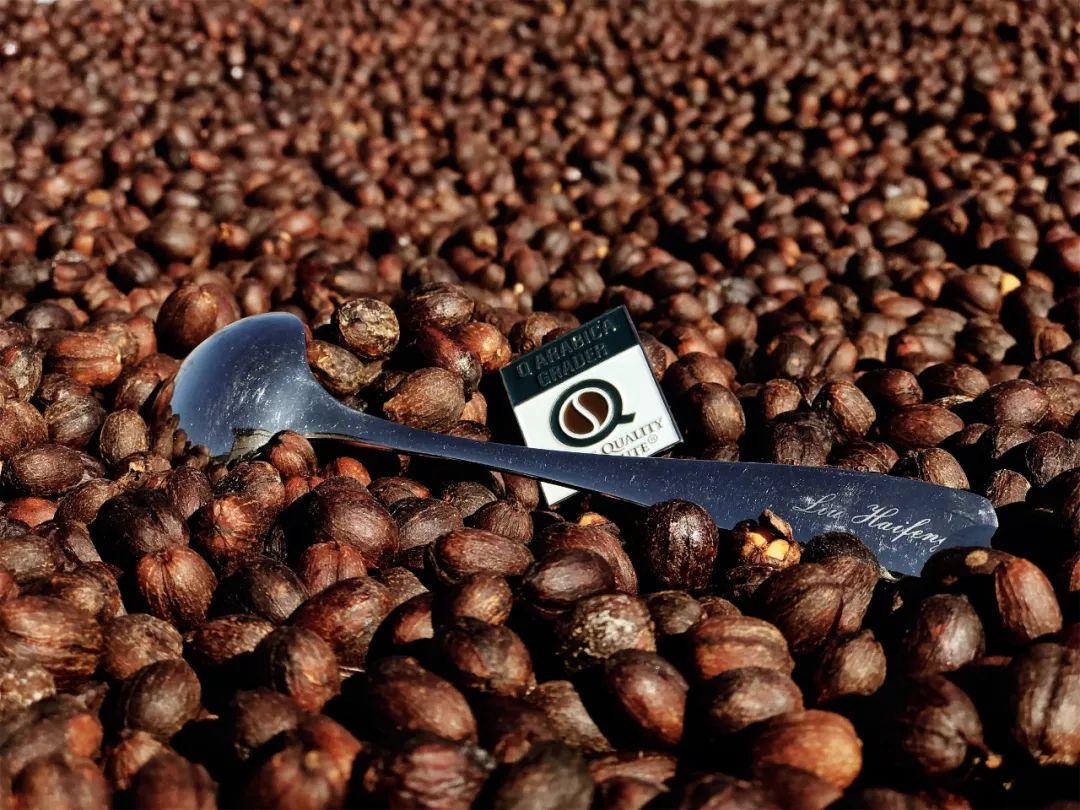 广州最大的咖啡批发中心,哈尔滨金达咖啡饮品城