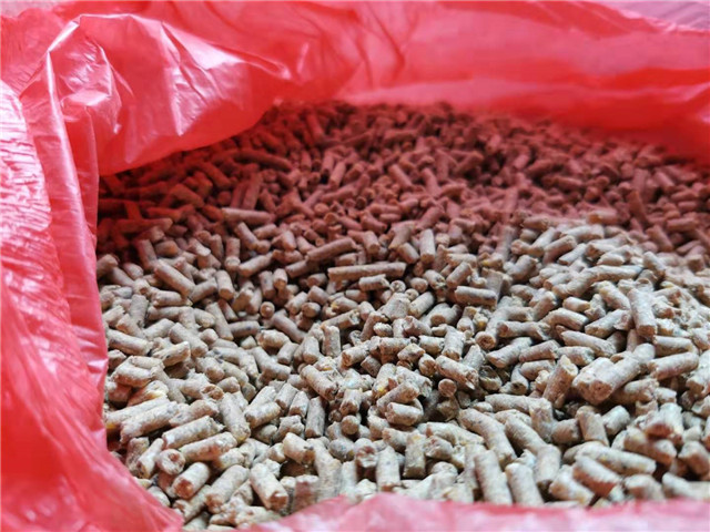 黑坑钓罗非鱼攻略技巧值得一看,黑坑钓罗非没口怎么应对