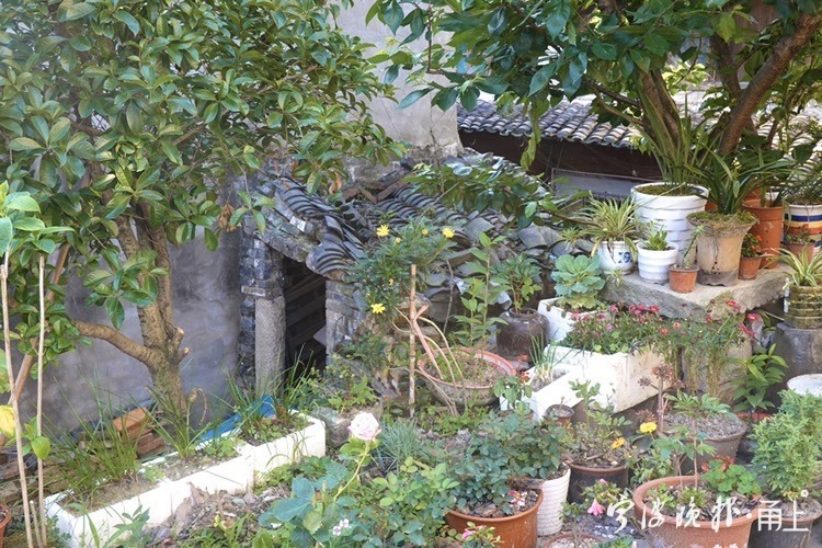 宁波东钱湖梅湖小镇,宁波东钱湖山村